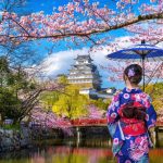 Yuk Intip Agenda Serta Lokasi Lengkap Sakura Mekar Di Jepang Tahun 2023