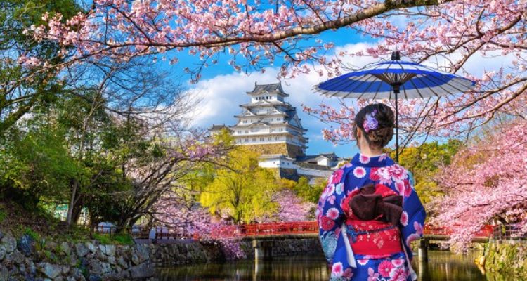 Yuk Intip Agenda Serta Lokasi Lengkap Sakura Mekar Di Jepang Tahun 2023