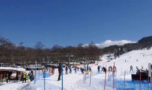Ayo Liburan Musim Dingin Di Resort Ski Karuizawa